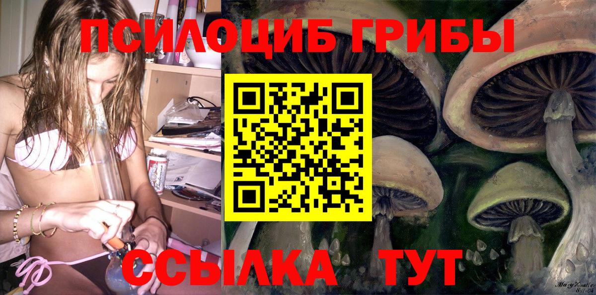 Псилоцибиновые грибы GOLDEN TEACHER Гусь-Хрустальный