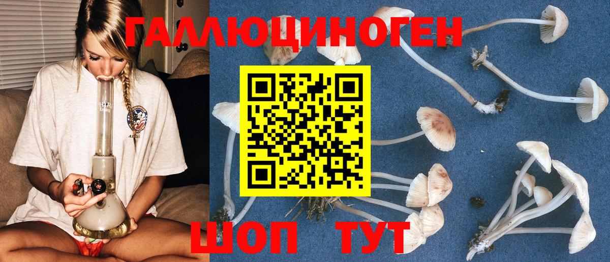 Галлюциногенные грибы Magic Shrooms  где купить   Гусь-Хрустальный  Вход с VPN 